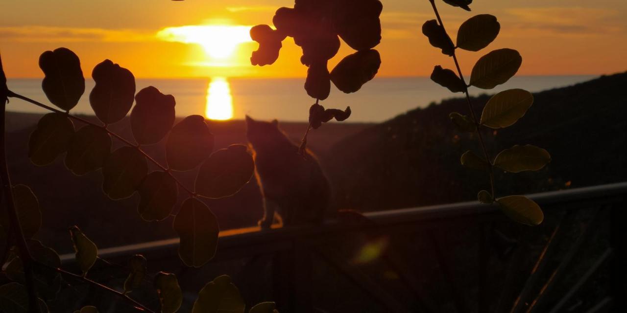 Nel Verde Del Villaggio - Casetta Celeste Gonnesa Exteriér fotografie